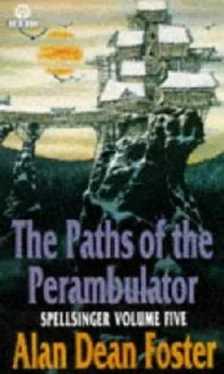 neetha Napew The Paths Of The Perambulator обложка книги