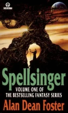 neetha Napew Spellsinger обложка книги