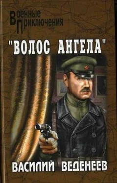 Василий Веденеев «Волос ангела» обложка книги