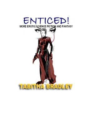 Tabitha Bradley Enticed обложка книги