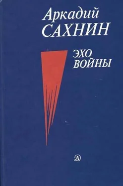 Аркадий Сахнин Эхо войны обложка книги