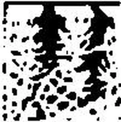 Таннен-Э — город под вечными льдами - легенды Австрии