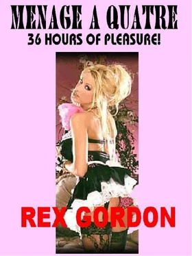 Rex Gordon Menage a quatre : 36 Hours of Pleasure обложка книги