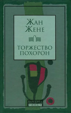 Жан Жене Торжество похорон обложка книги