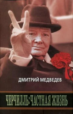 Дмитрий Медведев Черчилль: Частная жизнь обложка книги