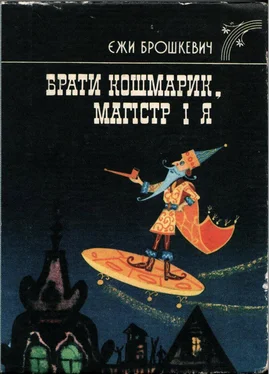 Брошкевич Єжи Брати Кошмарик, Магістр і я обложка книги