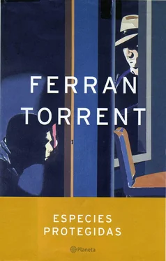 Ferran Torrent Especies Protegidas обложка книги