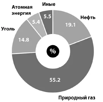 Источники первичной энергии в РФ Межгосударственная группа экспертов по - фото 1