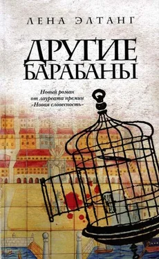 Лена Элтанг Другие барабаны обложка книги