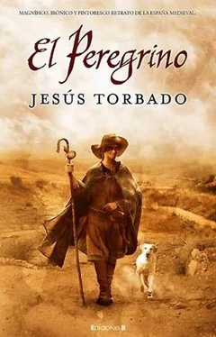 Jesús Torbado El peregrino обложка книги