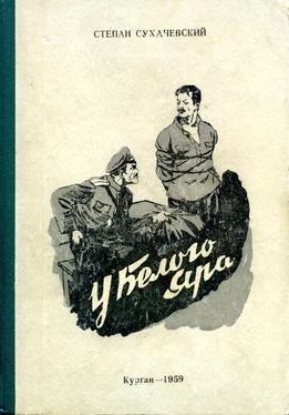 Степан Сухачевский У Белого Яра обложка книги