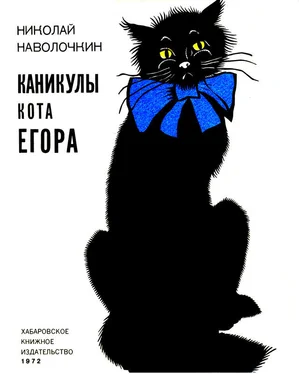 Николай Наволочкин Каникулы кота Егора обложка книги