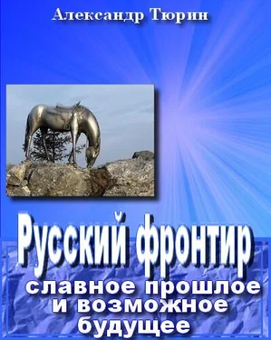 Александр Тюрин Русский фронтир: славное прошлое и возможное будущее обложка книги