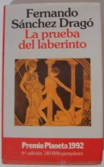 Fernando Dragó - La prueba del laberinto