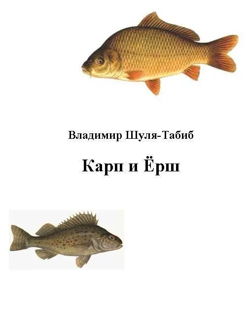 Владимир ШуляТабиб Карп и Ёрш Хотя день уже и клонился к вечеру жара - фото 1