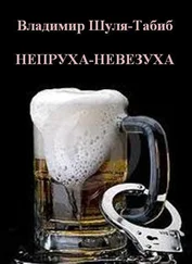 Владимир Шуля-Табиб - Непруха-невезуха