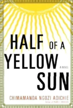 Ngozi Chimamanda Half of a Yellow Sun обложка книги