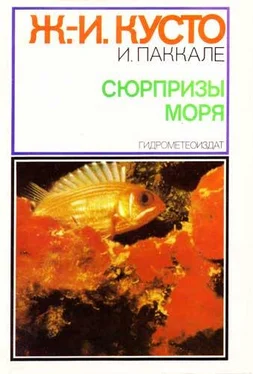 Жак-Ив Кусто Сюрпризы моря обложка книги