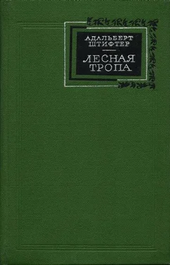 Адальберт Штифтер Лесная тропа обложка книги