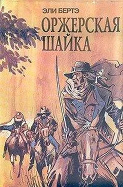 Эли Берте Шофферы или Оржерская шайка обложка книги