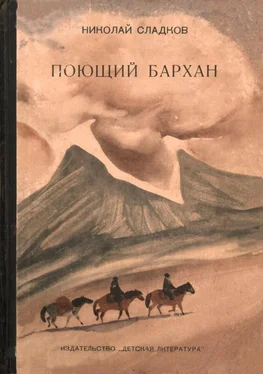 Николай Сладков Поющий бархан обложка книги