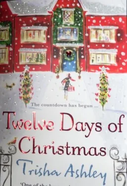 Trisha Ashley Twelve Days of Christmas обложка книги