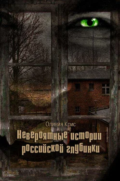 Оливия Крис Невероятные истории российской глубинки (сборник) обложка книги