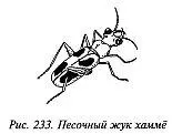 3 Яды мгновенного действия Такие яды ниндзя поэтично называли дзагарасияку - фото 228
