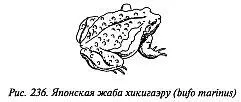 Яд хикигаэру вызывает высокое давление головную боль и паралич Его действие - фото 231