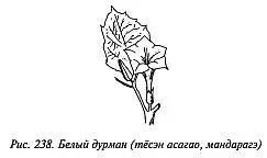 ЯДЫ ПОЗВОЛЯЮЩИЕ ВЫЗВАТЬ У ЖЕРТВЫ СОСТОЯНИЕ ТРЕВОГИ ВОЛНЕНИЯ НЕАДЕКВАТНЫЕ - фото 233