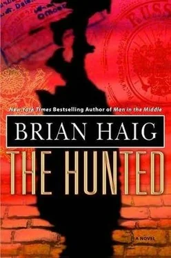 Brian Haig The Hunted обложка книги