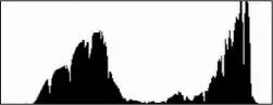 Figure 114 Histogram of another good exposure Figure 115 Histogram for - фото 207