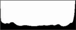 Figure 117 Histogram where the brightness of the scene exceeds the dynamic - фото 210