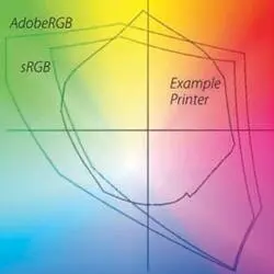 Graphic created by Stephen Laskevitch Figure 1112 Graph of gamuts for - фото 215