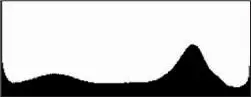 Figure 1116 Another histogram where the brightness of the scene exceeds the - фото 219