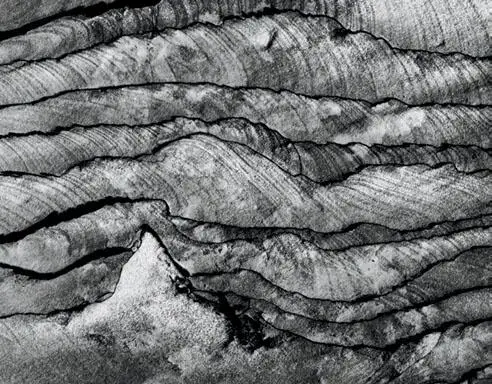 This flat sandstone formation in Phipps Wash Utah struck me as a highly - фото 244