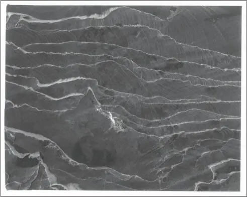 This negative of a very lowcontrast scenean evenly lit sandstone patternhas - фото 246