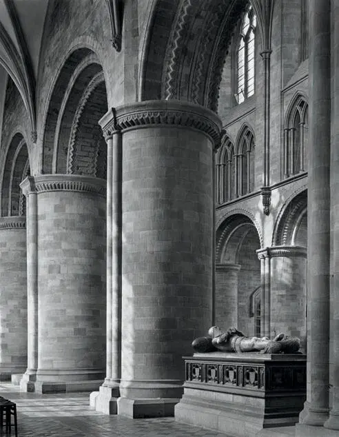 Middle and light gray tonalities dominate this image as sunlight pours through - фото 17