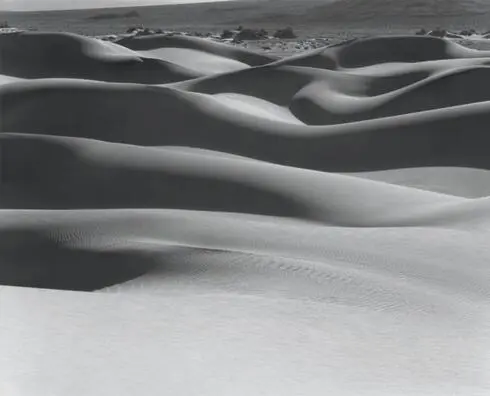 Exposed in 1976 this image possesses interesting rhythmic dune forms in the - фото 256