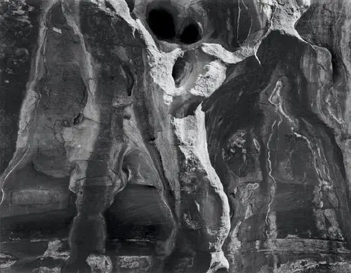 Sunlight was edging the deeply pitted sandstone wall of Utahs Wolverine Canyon - фото 259