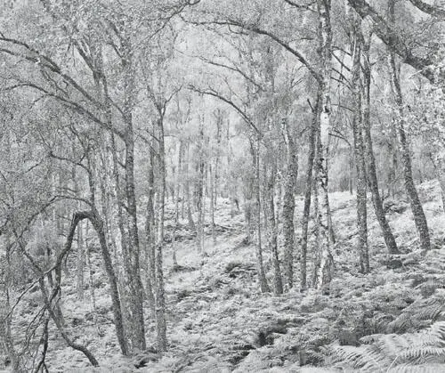 While scouting for a workshop in Scotland in 1998 I came across this scene - фото 280