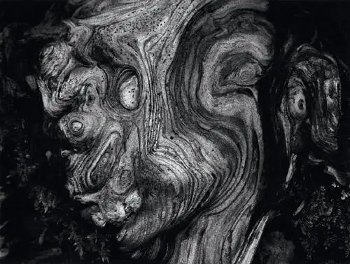 This image in my Darkness and Despair portfolio is meant to show the - фото 284