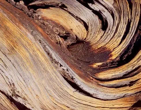 This is a truly abstract form that could accommodate a wide range of colors - фото 59