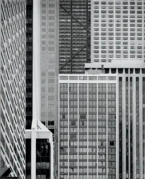 Seven different modern skyscrapers huddle together in downtown Chicago - фото 7