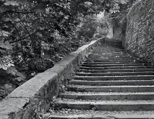 The photograph contains a full range of tonalities from black to white yet - фото 89