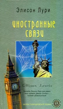 Элисон Лури Иностранные связи обложка книги