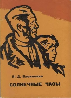 Иван Василенко Солнечные часы обложка книги