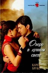 Карен Брукс - Озеро в лунном свете