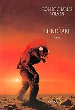 Robert Wilson Blind Lake обложка книги