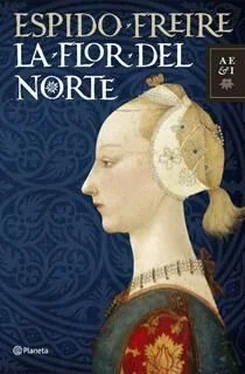 Espido Freire La Flor Del Norte обложка книги